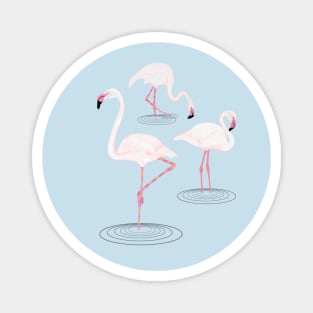 Pink Flamingos in Water Magnet